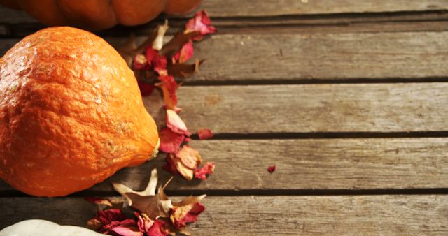 Close-up of halloween pumpkin with maple leaf on a wooden table 4k