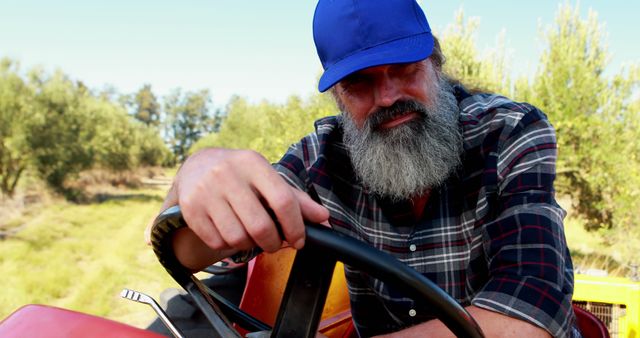 Bearded male farmer in blue hat and plaid shirt is driving a tractor through an olive grove on a sunny day. Image captures the essence of rural farming and manual labor, ideal for use in agricultural advertisements, articles about sustainable farming practices, or promoting rural lifestyle tourism.