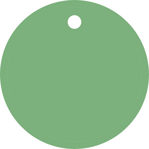 Minimalist Green Disc Pendant on Transparent Background - Download Free Stock Videos Pikwizard.com