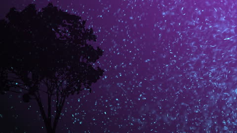 Vibrant Purple Night with Floating Light Particles