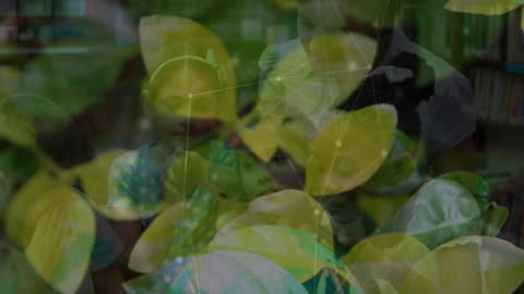 Blending Nature with Learning: Children and Network Connections