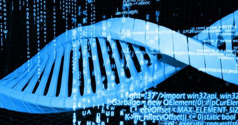 Digital DNA Strand With Data Stream Integration - Download Free Stock Images Pikwizard.com