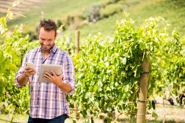 Young man standing in a vineyard using a digital tablet and phone on a sunny day. He is smiling and dressed in casual clothing, surrounded by lush grapevines. Ideal for use in articles about modern farming, technology in agriculture, rural lifestyle, and wine production.
