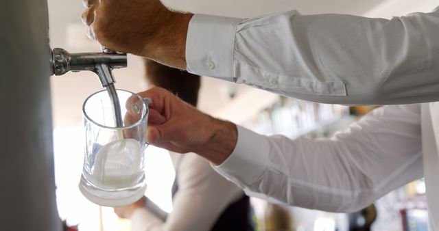 Bartender Pouring Fresh Draft Beer into Glass at Bar - Download Free Stock Images Pikwizard.com