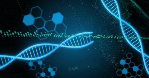 Visualizing holographic DNA helix projecting neon data waveform and molecular hex diagrams
