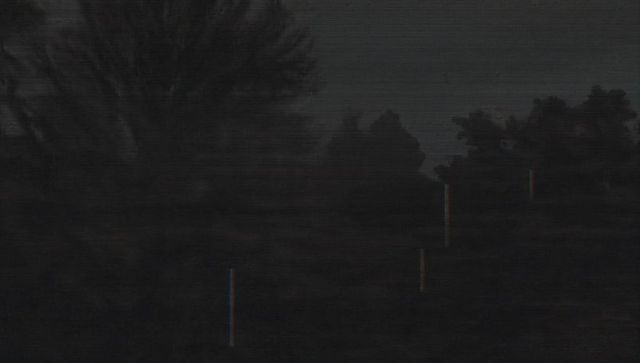 Moody Nocturnal Field with Tree and Fence Posts Under Dim Sky