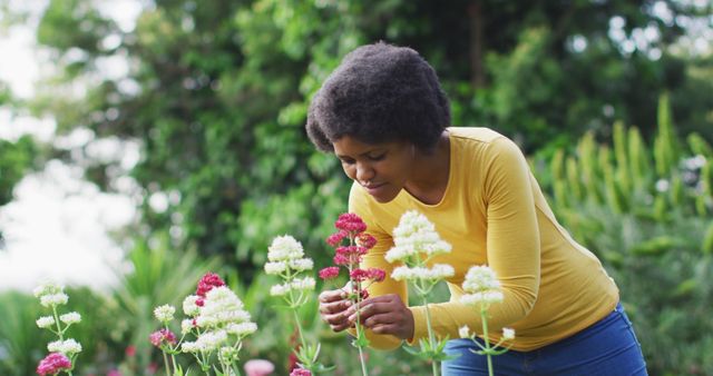 Woman Tending to Vibrant Flowers in Lush Garden - Download Free Stock Images Pikwizard.com