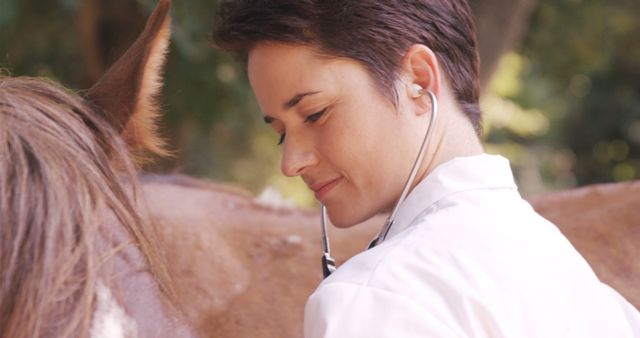 Veterinarian examining horse with stethoscope in outdoor setting - Download Free Stock Images Pikwizard.com