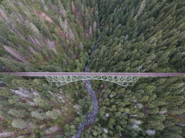 An aerial view showing a train bridge spanning a deep, forested valley with a stream flowing underneath. Green trees cover the landscape, highlighting the wilderness of the area. The image symbolizes transport infrastructure in remote locations, renewable engineering, and the natural beauty of forests and rivers. Perfect for illustrating topics related to travel, remote destinations, forest preservation, engineering marvels, infrastructure, or scenic nature vistas.