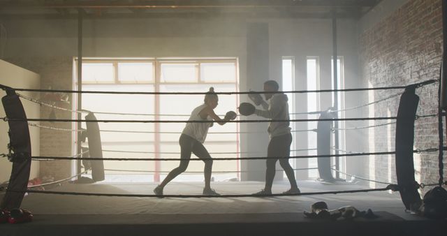 Two People Sparring in Boxing Ring with Sunlight Streaming Through Windows - Download Free Stock Images Pikwizard.com