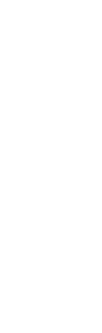 Minimal Christmas Decoration Element on Transparent Background - Download Free Stock Videos Pikwizard.com