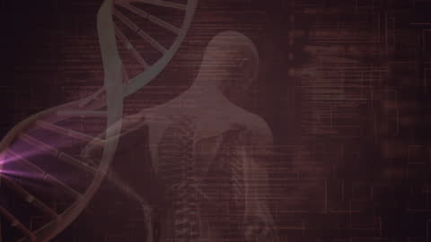 Abstract DNA Strand with Medical Data and Human Anatomy