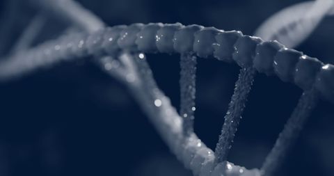 Close-Up of DNA Helix in Dark Studio Lighting - Download Free Stock Images Pikwizard.com
