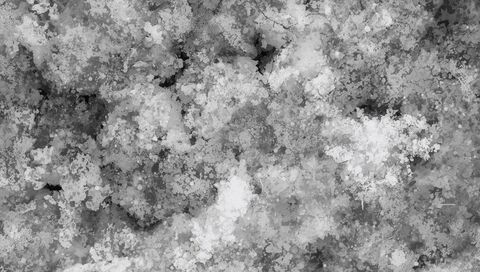 Grayscale ink blot texture with granular speckle and vein-like streaks
