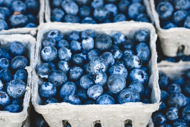 Close-up view of ripe, fresh blueberries in biodegradable cardboard containers, likely at a local farmers market. Perfect for use in advertisements for fresh produce, healthy eating, organic food. High-quality blueberries emphasize nutrition and natural farming. Ideal for blog posts, recipe websites, ecommerce sites for organic products, health and wellness marketing materials.