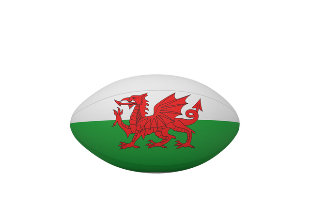 Rugby Ball with Red Dragon Symbol on Transparent Background - Download Free Stock Videos Pikwizard.com