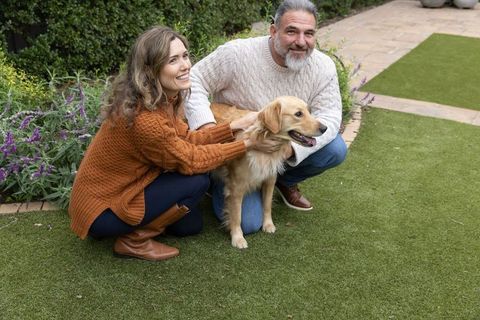 Couple petting golden retriever on manicured backyard lawn with fall sweaters and garden