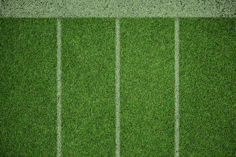 Transparent Vector of Sport Court with Grassy Texture - Download Free Stock Videos Pikwizard.com