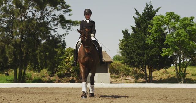 Female equestrian in formal attire riding horse in dressage arena. This image is great for illustrating horse riding competitions, equestrian training, equine sports, riding schools, and advertisements related to outdoor sporting events.