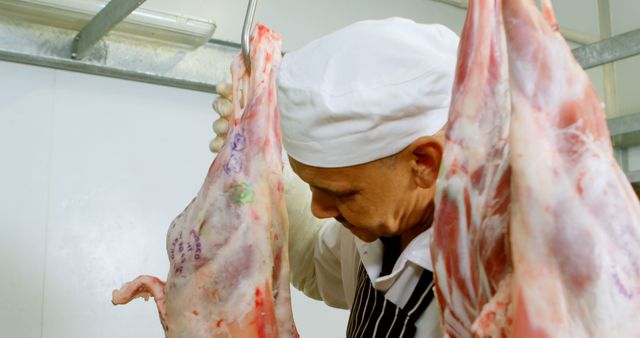 Butcher Inspecting Fresh Carcass in Butchery - Download Free Stock Images Pikwizard.com