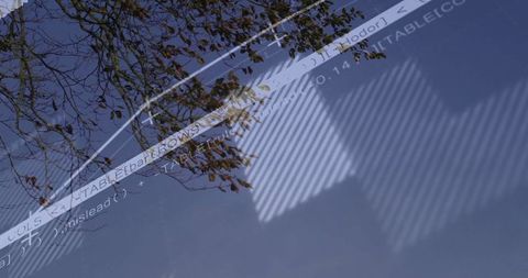 Creative abstract reflection of autumn leaves with code overlay