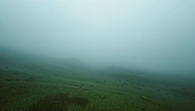 Tranquil Fog Enveloping Mystic Green Hillside