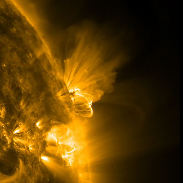 This close-up image of the sun presents an active region in profile as it rotated out of view. We can observe both the bright arching field lines and smaller pieces of darker matter in their midst being pulled back and forth just above the Sun's surface over about 36 hours (July 20-22, 2011). Both of these physical responses were caused by strong, tangled magnetic forces that are constantly evolving and reorganizing within the active region. Other active regions can be seen in the foreground as well. The image and movie were taken in extreme ultraviolet light of ionized iron heated to one million degrees.  To view a hd video of this event go here: <a href="http://www.flickr.com/photos/gsfc/6006013038">www.flickr.com/photos/gsfc/6006013038</a>  Credit: NASA/GSFC/SDO  <b><a href="http://www.nasa.gov/centers/goddard/home/index.html" rel="nofollow">NASA Goddard Space Flight Center</a></b> enables NASA’s mission through four scientific endeavors: Earth Science, Heliophysics, Solar System Exploration, and Astrophysics. Goddard plays a leading role in NASA’s accomplishments by contributing compelling scientific knowledge to advance the Agency’s mission.  <b>Follow us on <a href="http://twitter.com/NASA_GoddardPix" rel="nofollow">Twitter</a></b>  <b>Like us on <a href="http://www.facebook.com/pages/Greenbelt-MD/NASA-Goddard/395013845897?ref=tsd" rel="nofollow">Facebook</a></b>  <b>Find us on <a href="http://web.stagram.com/n/nasagoddard/?vm=grid" rel="nofollow">Instagram</a></b>