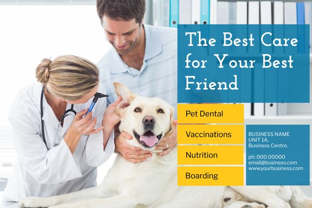 Vet Examines Happy Dog Promoting Comprehensive Pet Care Services - Download Free Stock Templates Pikwizard.com