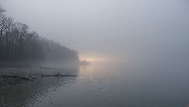 Misty dawn lake with lone rowboat and driftwood reflecting pale sunlight