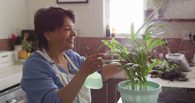 A senior woman is seen spraying a green houseplant with water in a well-lit kitchen setting. She is wearing a blue shirt and a white apron, happily engaging in plant care. Perfect for use in articles on home gardening, happiness in retirement, or indoor plant maintenance tips. Ideal for blog posts, magazines, and websites emphasizing home lifestyle and wellness.