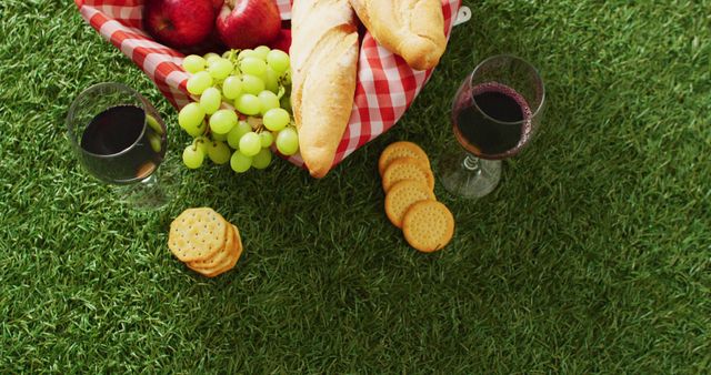 Picnic basket with checkered blanket, fruits, bread, crackers and wine on grass with copy space. Picnic day, food and nature concept.