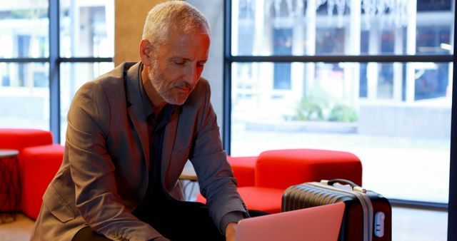 Business professional with gray hair working on laptop in modern office lounge - Download Free Stock Images Pikwizard.com