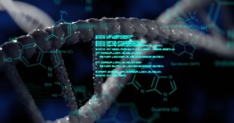Digital Data Processing on Digital DNA Hillström Concept