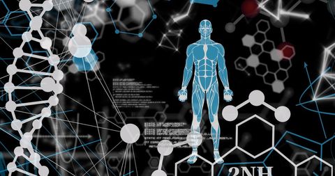 abstract science design with dna strand and digital human illustration - Download Free Stock Images Pikwizard.com