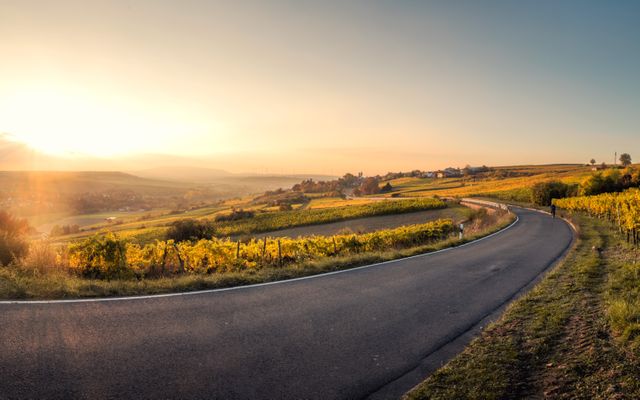 The image shows a winding road through the countryside with vineyards stretching into the distance under a setting sun. It captures the tranquility and beauty of rural landscapes. Perfect for travel brochures, nature-themed projects, or promoting peaceful retreats.