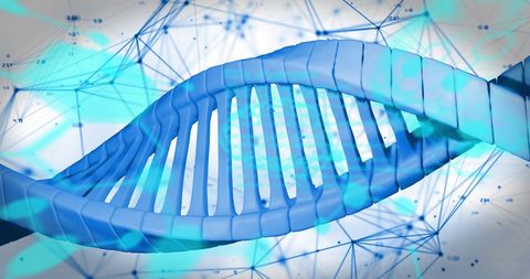 Abstract Digital DNA Strand with Virtual Data Network - Download Free Stock Images Pikwizard.com