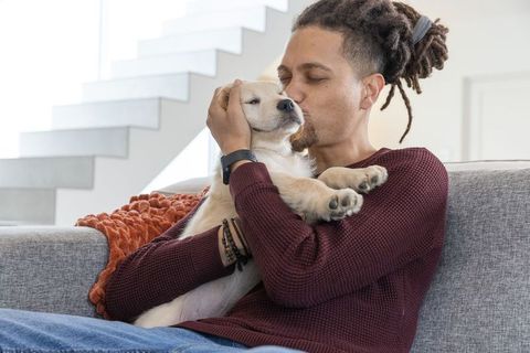 African american man holding and kissing golden retriever puppy on gray sofa indoors