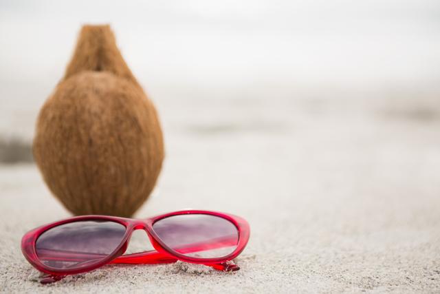 Coconut and a sunglass kept on the sand at tropical beach