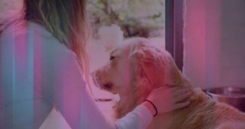 Cozy Bonding Time Indoors with Golden Retriever