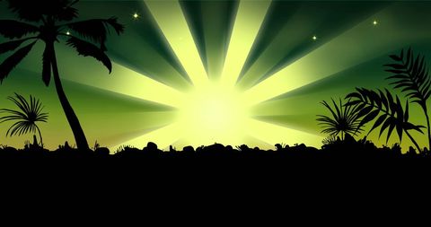 Tropical Landscape with Palm Tree Silhouettes in Radiant Green Light - Download Free Stock Images Pikwizard.com
