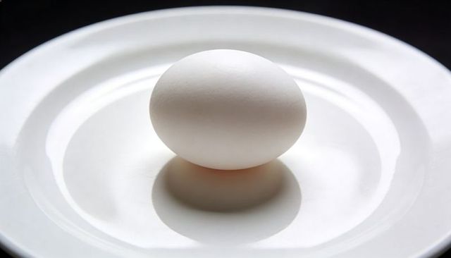 Single white egg standing on porcelain plate casting soft shadow minimal kitchen concept