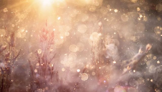 Golden backlit meadow with seedheads and dreamy bokeh sun flare, warm ethereal glow