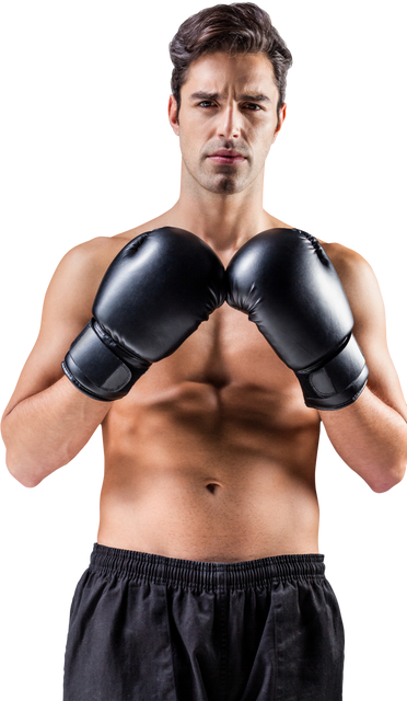 Portrait of confident male boxer with boxing gloves transparent background - Download Free Stock Videos Pikwizard.com