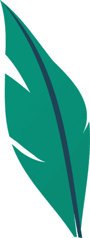minimalistic stylized feather illustration on transparent background - Download Free Stock Videos Pikwizard.com