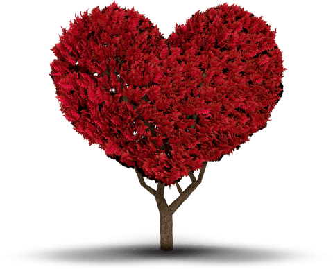 Heart Shaped Tree Transparent Design Symbolizing Love and Romance