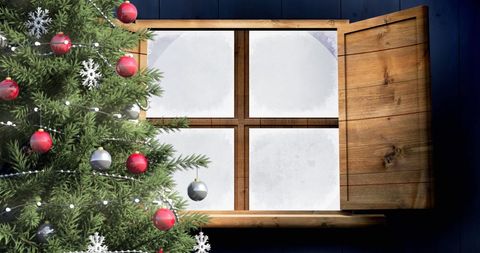 Decorated Christmas Tree by Snowy Window