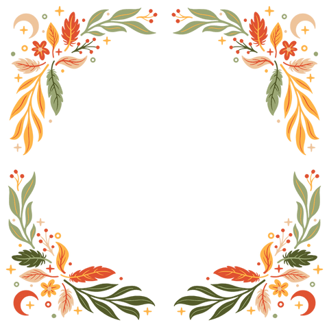 botanical frame with celestial touch on transparent background - Download Free Stock Videos Pikwizard.com