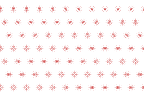 Red Floral Pattern with Transparent Background in Vector Style - Download Free Stock Videos Pikwizard.com