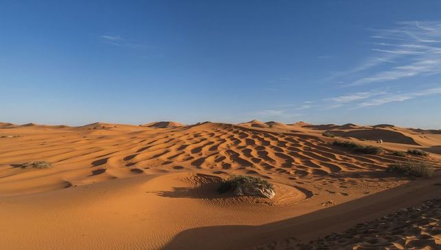 Rippling orange sand dunes unfolding beneath clear blue sky with footprints and shrubs