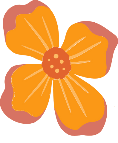 Transcendent Orange Flower Illustration on Transparent Background